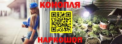 прущие крисы Белореченск