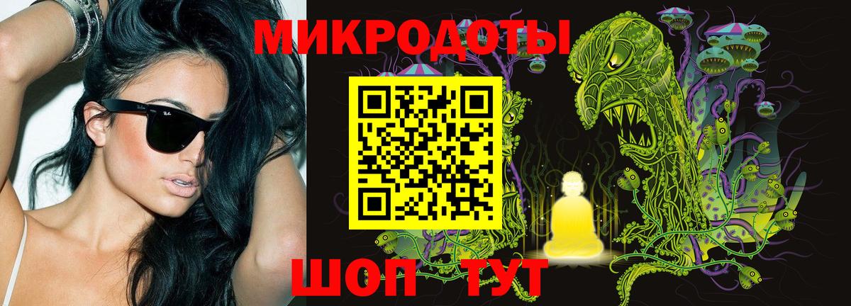 Будённовск  Псилоцибиновые грибы Psilocybe  Вход с VPN 