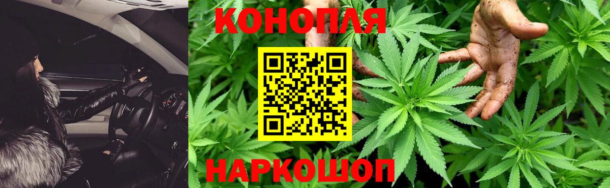 Конопля LSD WEED Будённовск